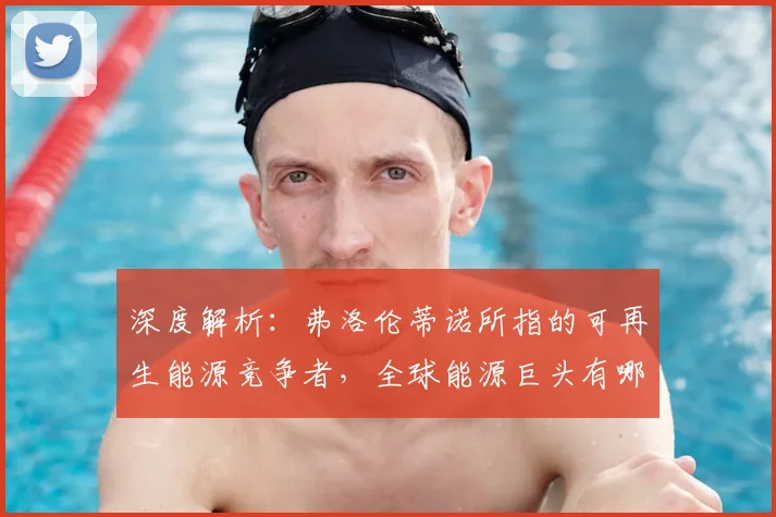 深度解析：弗洛伦蒂诺所指的可再生能源竞争者，全球能源巨头有哪些？